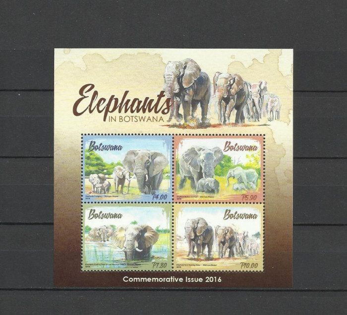 BOTSWANA 2016 FAUNA ELEFANTI