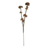 Cumpara ieftin Floare artificiala maro 6x6x58 cm