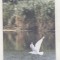 bnk card Cartela telefonica 2000 - 50000 lei Delta 4 - RO-ROM-0066B