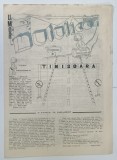 MUTULICA , REVISTA PARTICULARA DE DIVERTISMENT ,APARE LA TIMISOARA , ANUL I , NR. 1 , MARTIE , 1990