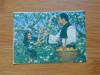 Calendar de buzunar -CLF (centrala ptr legume si fructe) anul 1978