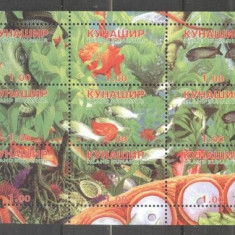 Kunashir, local Russia 1998 Fishes, Sea Life, perf. sheetlet, MNH S.226