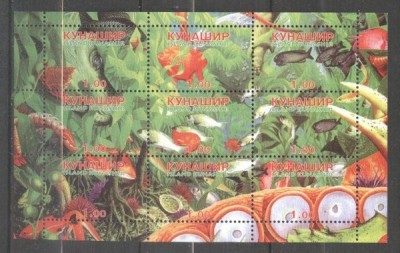 Kunashir, local Russia 1998 Fishes, Sea Life, perf. sheetlet, MNH S.226 foto