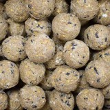 Hrana păsări sălbatice cu insecte, 200 bucăți x 90g fără plasă &ndash; crochete bogate &icirc;n proteine, ingrediente naturale