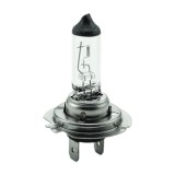 Bec halogen auto H7 Carguard 12V 55W +30% lumina (1 buc/blister)