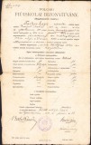 A1823 Certificat școlar, 1914, S&acirc;ntana, județul Arad