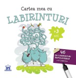 Cumpara ieftin Cartea Mea Cu Labirinturi , - Editura DPH