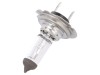 Bec Auto Elta 12V 65W Transparent H18 PY25D-1 VISIONPRO