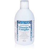 Aronia Charlotteburg Premium Aronia Vitamin B Complex vitamina B complex pentru funcționarea corectă a organismului 500 ml