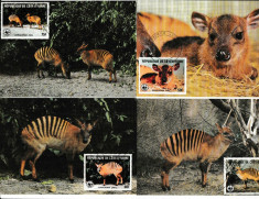 Fauna WWF - 4 Maxime - set complet foto