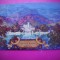 HOPCT 7934 THE BROADMOOR -COLORADO SPRINGS -STAMPILOGRAFIE/FRANCATURA-SUA-AMERICA DE NORD -CIRCULATA