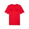 AC Milan tricou de bărbați FtblEss red - M, Puma