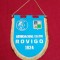 Fanion A C Rovigo