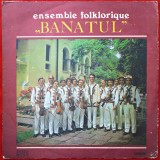 ENSEMBLE FOLKLORIQUE BANATUL - ANSAMBLUL FOLCLORIC DIN BANAT - MUZICĂ POPULARĂ - DISC VINYL / VINIL LP, ALBUM PICK-UP ELECTRECORD