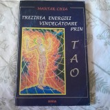RARA, Mantak Chia - Trezirea energiei vindecatoare prin Tao. Secretul taoist al controlului energiei interne 1995