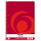 Caiet Herlitz XBook, A4, matematica, spirala, 160 file