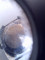 Foto  - 3