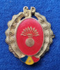 Insigna Militara Ofiter - Garzile patriotice - GP - INFANTERIE Coifura - Cuc