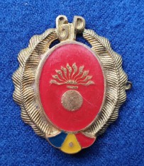 Insigna Militara Ofiter - Garzile patriotice - GP - INFANTERIE Coifura - Cuc