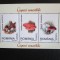 ROMANIA CIUPERCI MNH=71