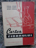 Cezar Epure - Cartea zidarului