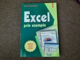 Silvia Curteanu - Excel prin exemple