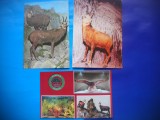 HOPCT LOT NR 464 CAPRINE -FAUNA-3 CARTI POSTALE-NECIRCULATE