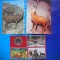 HOPCT LOT NR 464 CAPRINE -FAUNA-3 CARTI POSTALE-NECIRCULATE