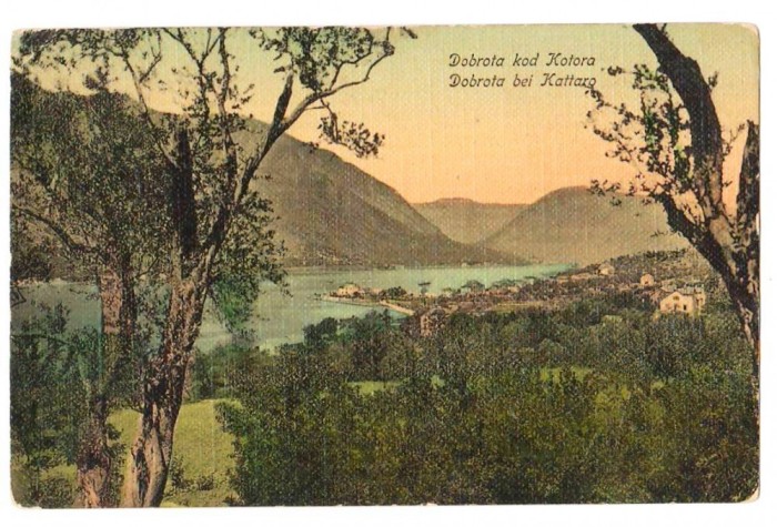 SV * Muntenegru * SALUTARI DIN KOTOR / Dobrota kod Kotora * GOLFUL * 1913