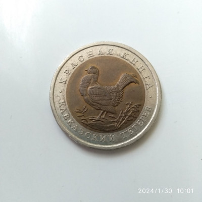 -Y- MONEDA RUSIA 50 RUBLE 1993 - FAUNA FAZAN - BIMETAL foto