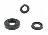 Simeringuri Ambielaj Scuter Aprilia Scarabeo 49cc 50cc 80cc TMMP - Set 3 buc.