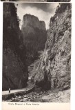 CPIB 22622 - CARTE POSTAL - CHEILE BICAZULUI SI PIATRA ALTARULUI, RPR, NECIRC