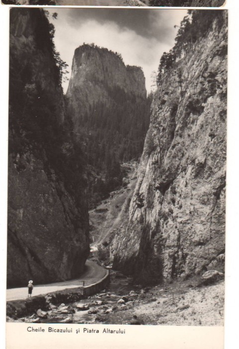 CPIB 22622 - CARTE POSTAL - CHEILE BICAZULUI SI PIATRA ALTARULUI, RPR, NECIRC