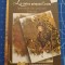 La curtea printului Erasm - Ipostaze ale prostiei - Breviar - Sorin Berbec 2008