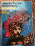 Romanul lui Nicu - Felicia Marina Munteanu