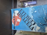 Vulturii cerului vintage