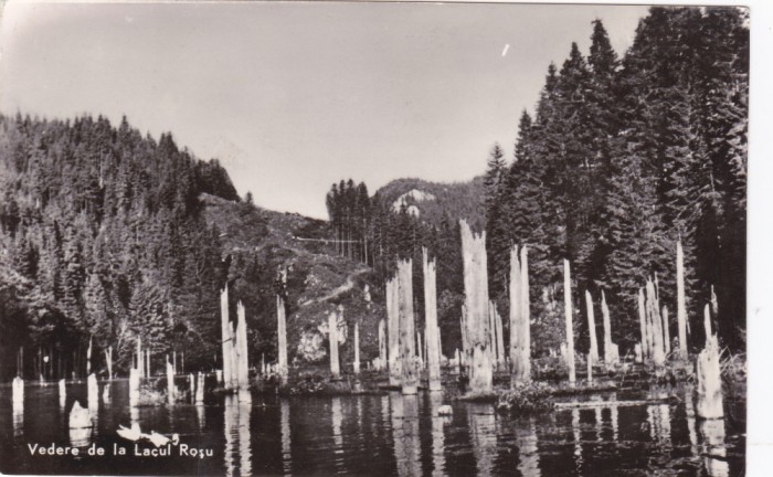 AS - ILUSTRATA 1210, VEDERE DE LA LACUL ROSU, ANUL 1961