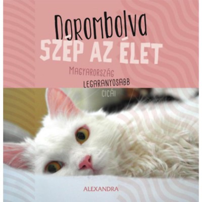 Dorombolva sz&amp;eacute;p az &amp;eacute;let - Magyarorsz&amp;aacute;g legaranyosabb cic&amp;aacute;i - 365 gondolat foto