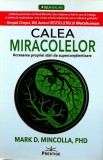 Cumpara ieftin Calea miracolelor. Accesarea propriei stari de superconstientizare - 2021 - Mark Mincolla (Y407)