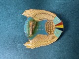 Insigna 50 ani 1935-1985 Aeroclubul Timisoara Aviatie Romania RSR