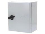 Carcasă montare pe perete SCHNEIDER ELECTRIC 250mm x 300mm x 150mm oţel IP66