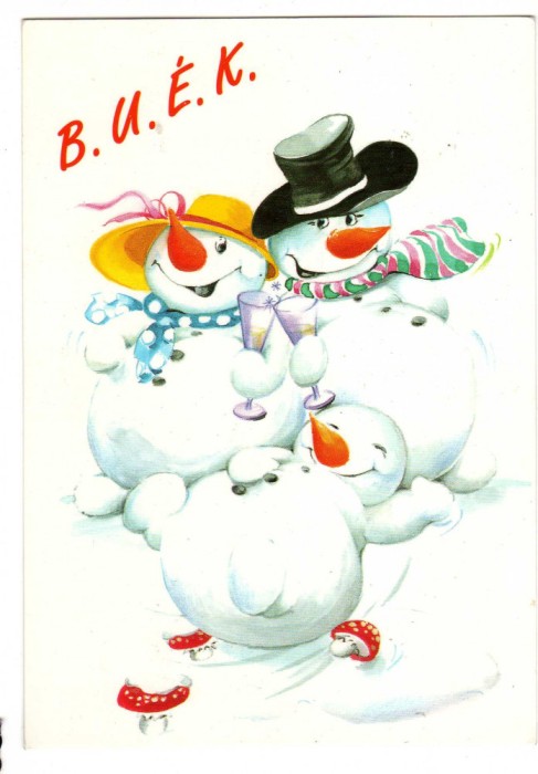FELICITARE OM DE ZAPADA BUEK