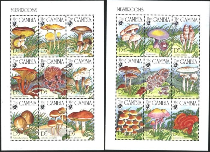 GAMBIA 1994 CIUPERCI