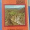 myh 12 - Colectie Muntii nostri - Muntii Iezer - nr 33/1984