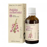 Tinctura pufulita cu flori mici 50ml dacia plant