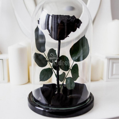 Trandafir Criogenat negru mare &amp;Oslash;9,5cm in cupola sticla 12x25cm foto