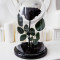 Trandafir Criogenat negru mare &Oslash;9,5cm in cupola sticla 12x25cm
