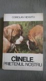 C&acirc;inele, prietenul nostru
