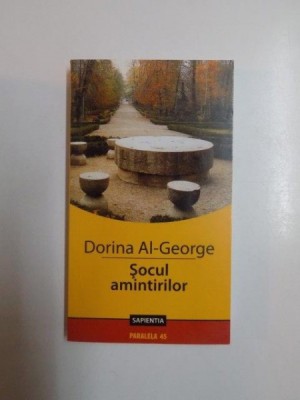 SOCUL AMINTIRILOR de DORINA AL GEORGE foto