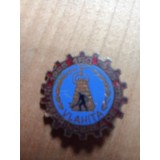 Insigne (3) Industrie Vlahita